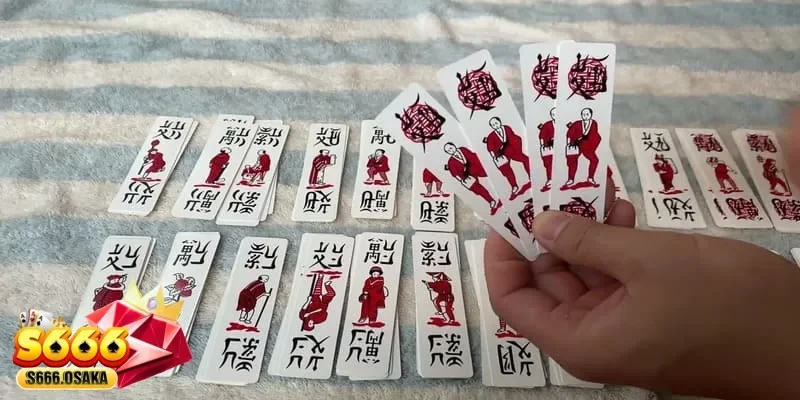 chắn 